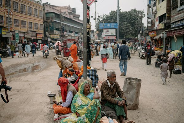 Chènevotte : pourquoi c'est essentiel pour une écologie durable